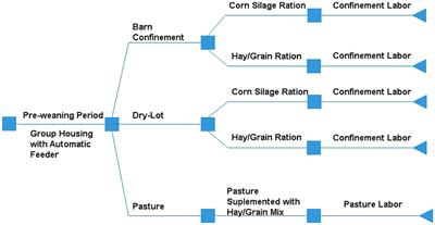 Effects of Housing System on Dairy Heifer Replacement Cost From Birth to Calving: Evaluating Costs of Confinement, Dry-Lot, and Pasture-Based Systems and Their Impact on Total Rearing Investment